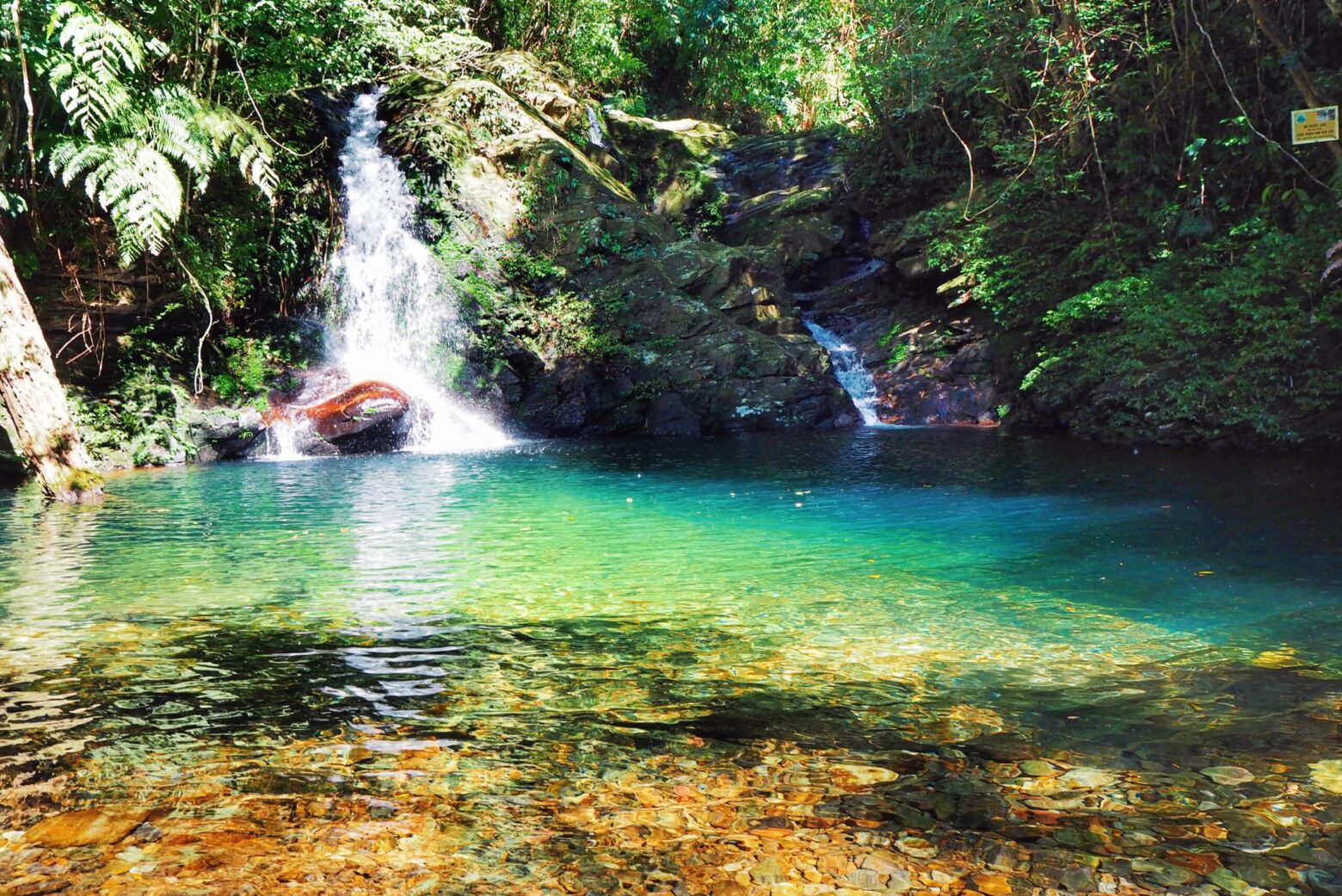 narodni park bach ma vietnam