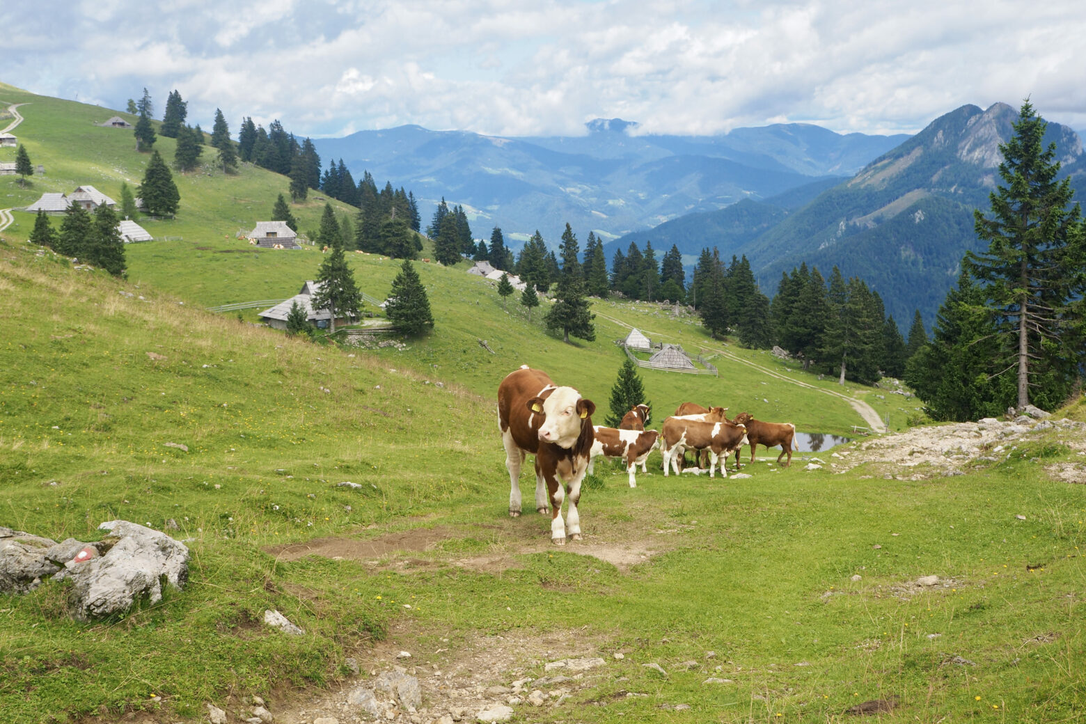 velika planina slovinsko